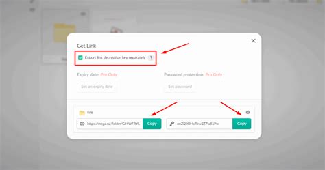mega decryption key|MEGA.